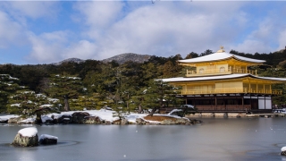 男人扫帚眉毛命运(如何通过看面相知人断事)