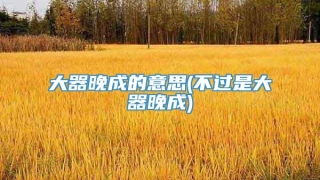 大器晚成的意思(不过是大器晚成)