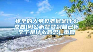 怀孕的人梦见老鼠是什么意思(周公解梦梦到自己怀孕了是什么意思)_重复