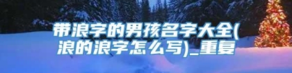 带浪字的男孩名字大全(浪的浪字怎么写)_重复