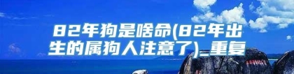 82年狗是啥命(82年出生的属狗人注意了)_重复