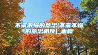 不紧不慢的意思(不紧不慢的意思相反)_重复