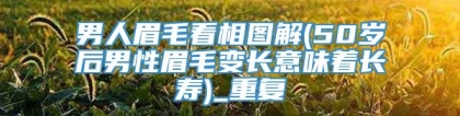 男人眉毛看相图解(50岁后男性眉毛变长意味着长寿)_重复