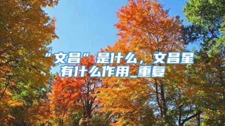 “文昌”是什么，文昌星有什么作用_重复