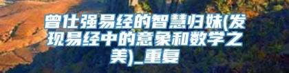 曾仕强易经的智慧归妹(发现易经中的意象和数学之美)_重复
