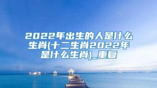 2022年出生的人是什么生肖(十二生肖2022年是什么生肖)_重复