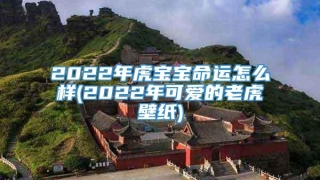 2022年虎宝宝命运怎么样(2022年可爱的老虎壁纸)
