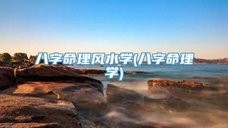 八字命理风水学(八字命理学)