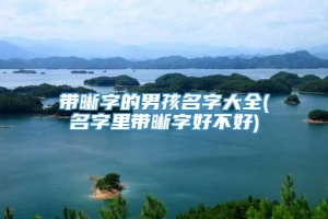 带晰字的男孩名字大全(名字里带晰字好不好)