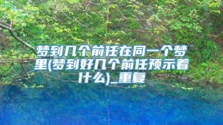 梦到几个前任在同一个梦里(梦到好几个前任预示着什么)_重复