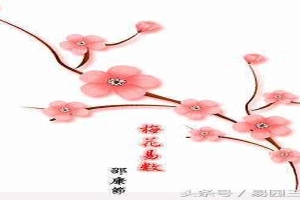 邵雍梅花易数精解(邵雍梅花易数)