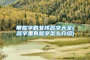 带熙字的女孩名字大全(名字里有熙字怎么介绍)