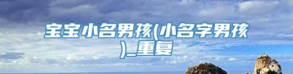 宝宝小名男孩(小名字男孩)_重复