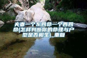 夫妻一个东四命一个西四命(怎样判断你的命理与户型是否相生)_重复