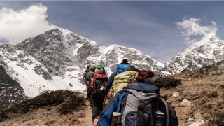 解梦1518官网(1518周公解梦大全查询梦2345原版)