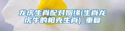 龙虎生肖配对姻缘(生肖龙虎牛的相克生肖)_重复