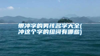带冲字的男孩名字大全(冲这个字的组词有哪些)