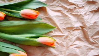 84年的属鼠37岁后命好(86岁属什么生肖)