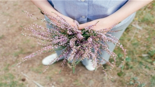 2022年免费算命(要看你的八字)_重复