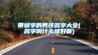 带斌字的男孩名字大全(名字叫什么斌好听)