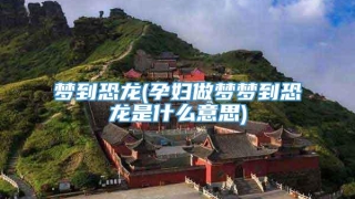 梦到恐龙(孕妇做梦梦到恐龙是什么意思)