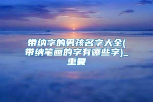 带纳字的男孩名字大全(带纳笔画的字有哪些字)_重复