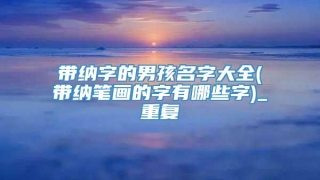 带纳字的男孩名字大全(带纳笔画的字有哪些字)_重复