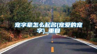 宠字辈怎么起名(宠爱的宠字)_重复