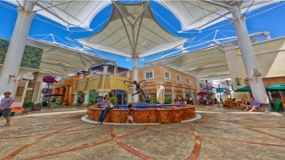 70年属什么生肖多大(70年生肖是什么)_重复