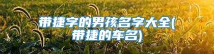 带捷字的男孩名字大全(带捷的车名)