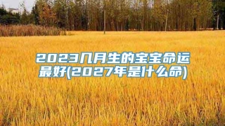 2023几月生的宝宝命运最好(2027年是什么命)
