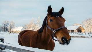 测试两人关系(想要测试一下你婚姻的薄弱点吗)