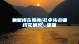 免费梅花易数(孔令伟老师梅花易数)_重复