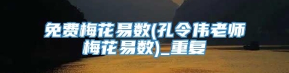 免费梅花易数(孔令伟老师梅花易数)_重复