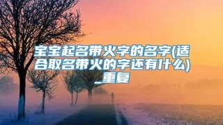 宝宝起名带火字的名字(适合取名带火的字还有什么)_重复