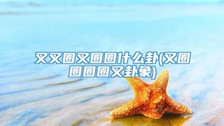 叉叉圈叉圈圈什么卦(叉圈圈圈圈叉卦象)