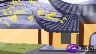 白蜡金命和白蜡金命相配吗(白金蜡命好不好)