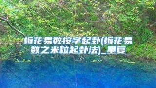 梅花易数按字起卦(梅花易数之米粒起卦法)_重复
