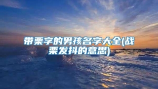 带栗字的男孩名字大全(战栗发抖的意思)