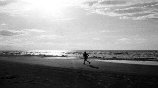 2020年1月生肖猪运气如何(2020年什么生肖)_重复