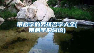 带启字的男孩名字大全(带启字的词语)