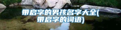 带启字的男孩名字大全(带启字的词语)