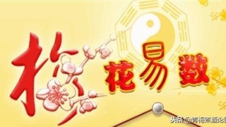 梅花易数转太极顺序(中国文化史上一部真正的奇书)