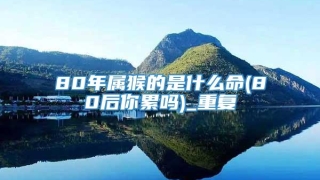 80年属猴的是什么命(80后你累吗)_重复