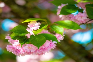 37岁属什么的财运如何(71女2021婚姻财运)_重复