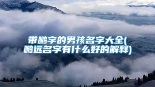 带鹏字的男孩名字大全(鹏远名字有什么好的解释)