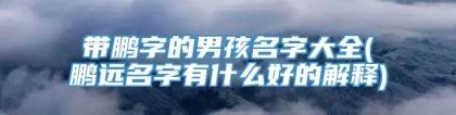 带鹏字的男孩名字大全(鹏远名字有什么好的解释)