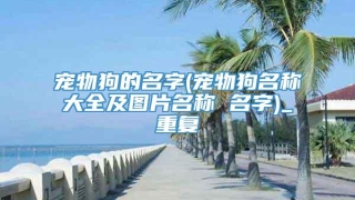 宠物狗的名字(宠物狗名称大全及图片名称 名字)_重复