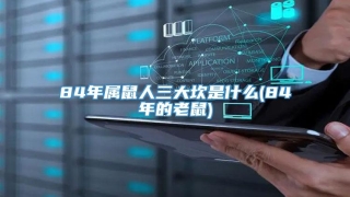 84年属鼠人三大坎是什么(84年的老鼠)