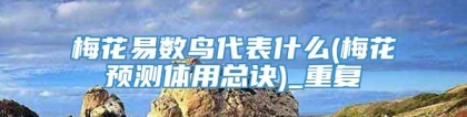 梅花易数鸟代表什么(梅花预测体用总诀)_重复